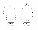 image_1920