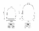 image_1920