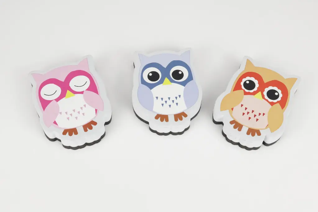 Cartoon Board Eraser - owl