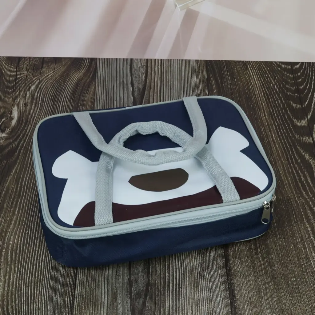 Lunch Bags for Everyday Use 