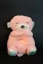 Breathing Teddy Bear