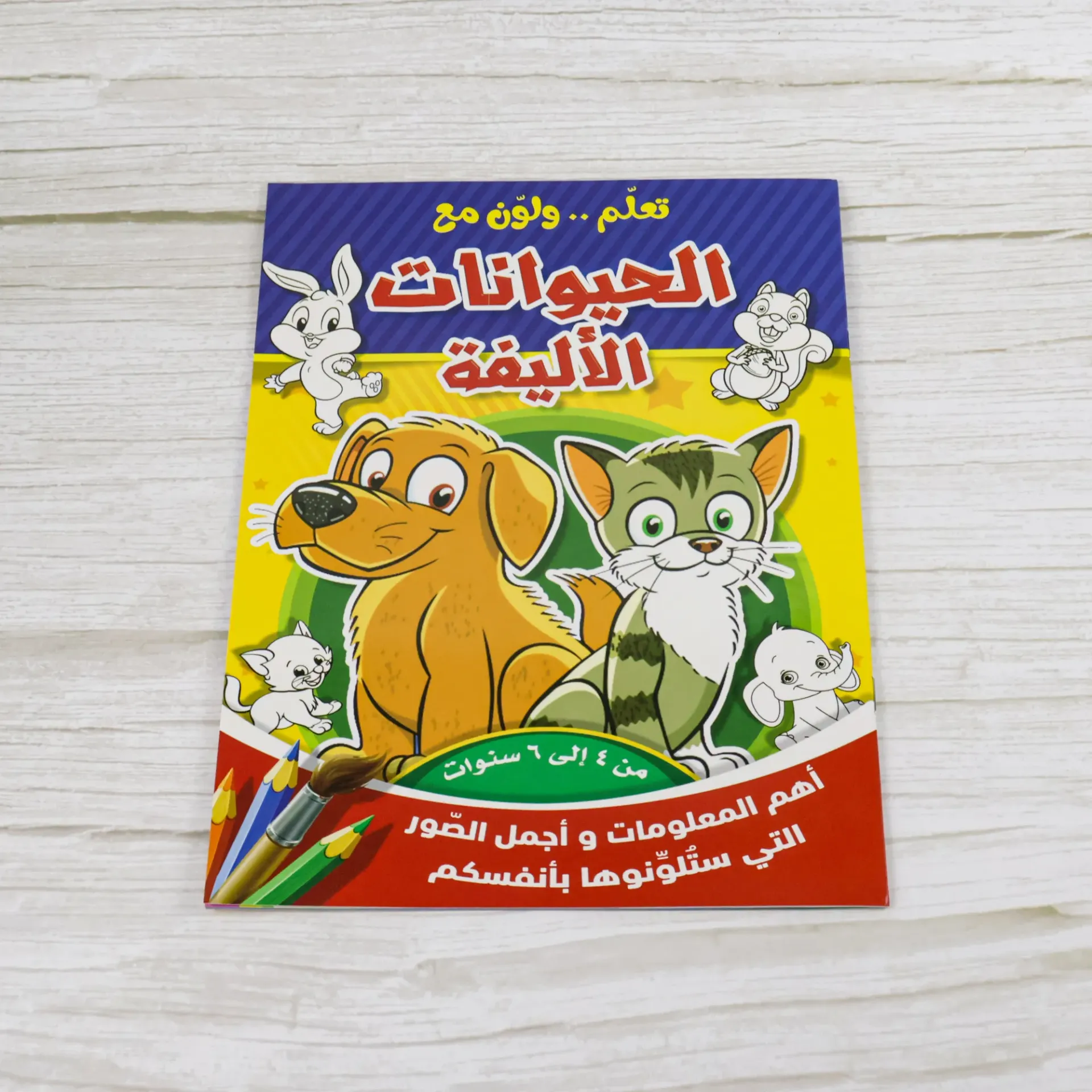 Kids Coloring & Learning Book