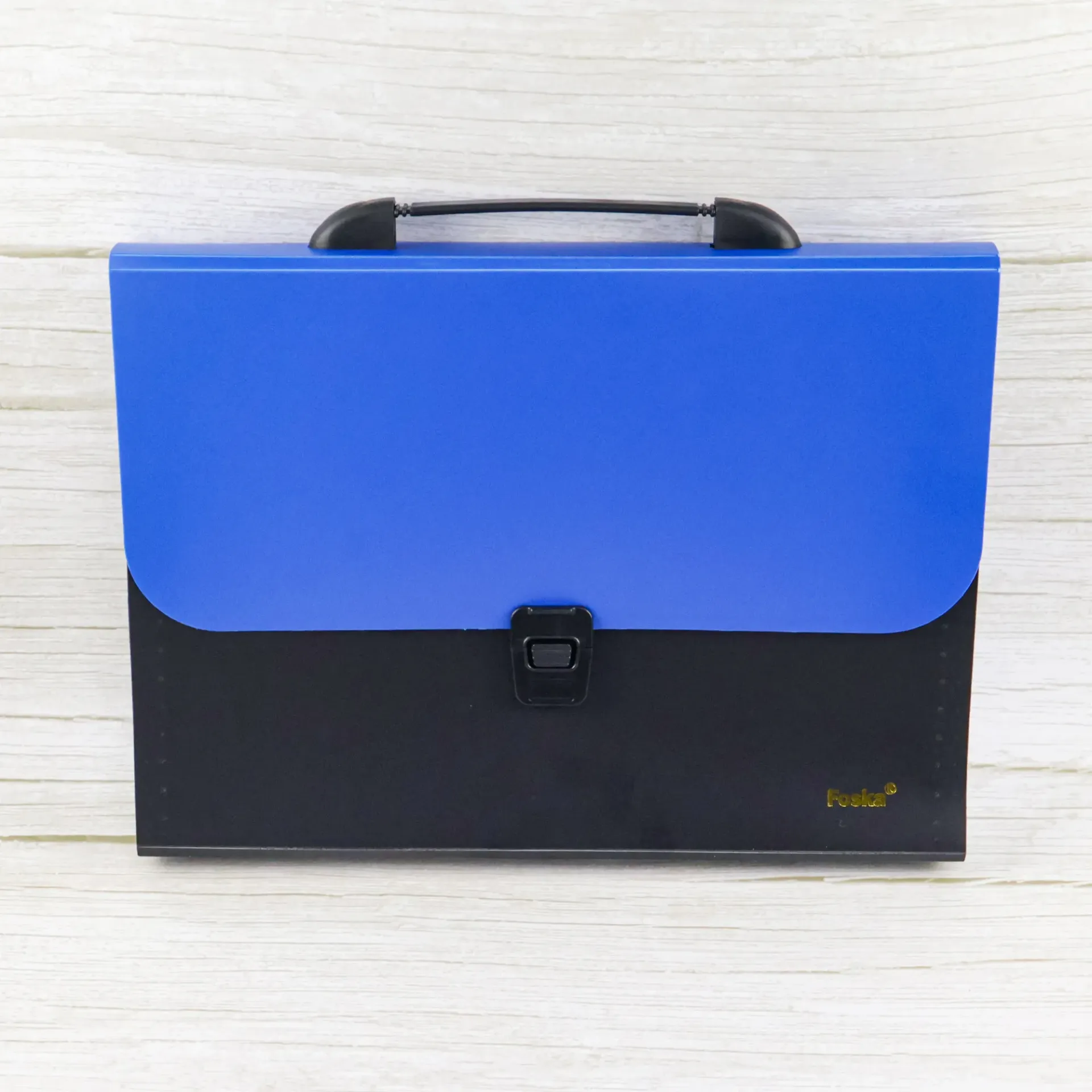 Portable Expanding File Case with Handle