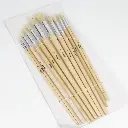 Artist Brushes
