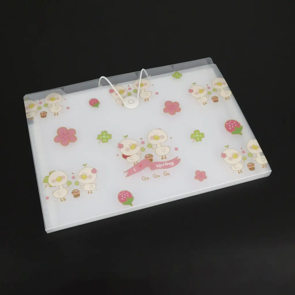  Expanding File Bag (4 Pockets)