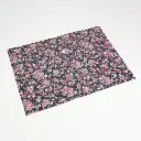 Buckle file pocket