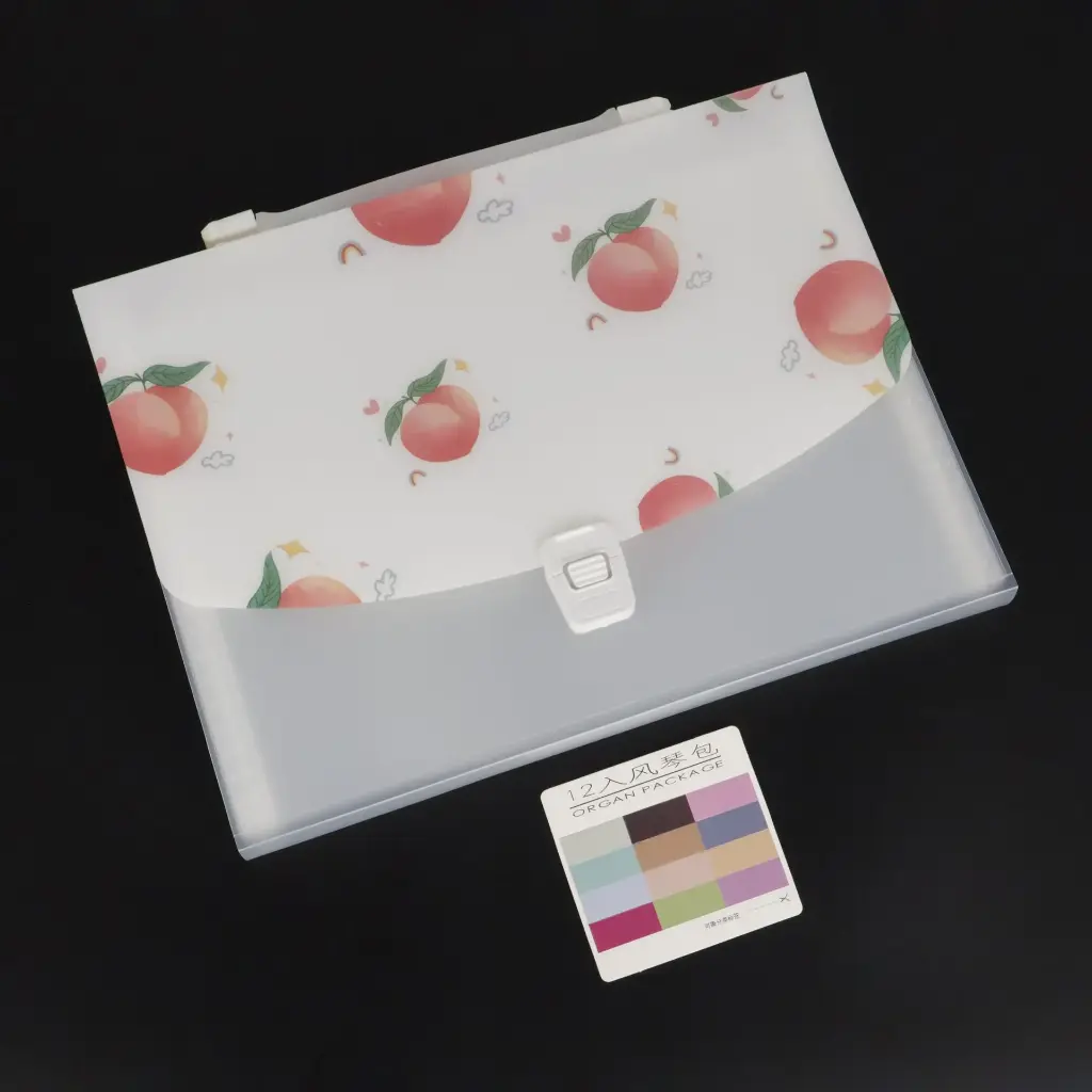 Document Organizer with Flap & Buckle