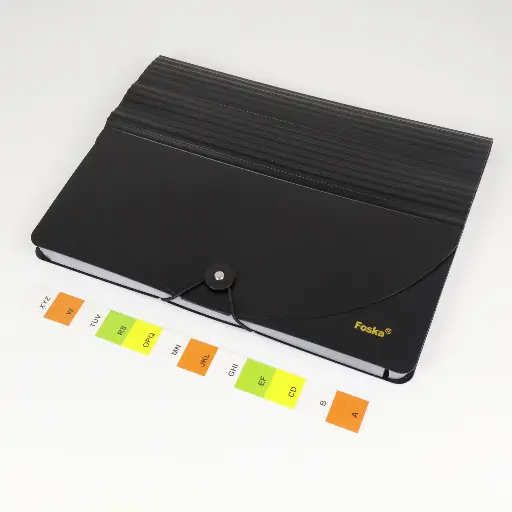 (13 Pockets) Expandable Desktop Folder Organizer