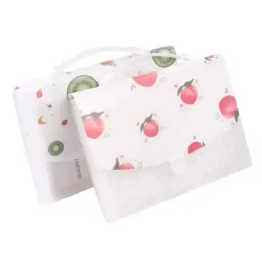 Document Organizer with Flap & Buckle